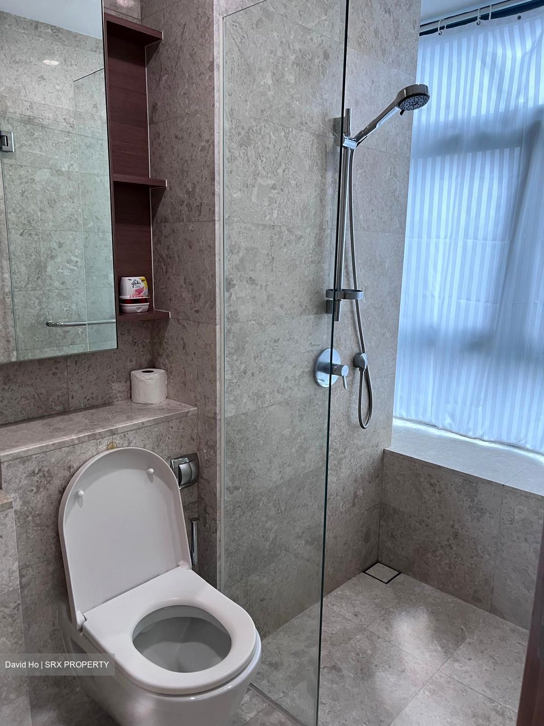 Soleil @ Sinaran (D11), Condominium #542210611